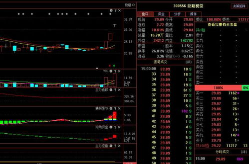絲路視覺(jué)（300556） 主力悄然布局，計(jì)算機(jī)軟硬件業(yè)務(wù)驅(qū)動(dòng)下未來(lái)走勢(shì)深度解析