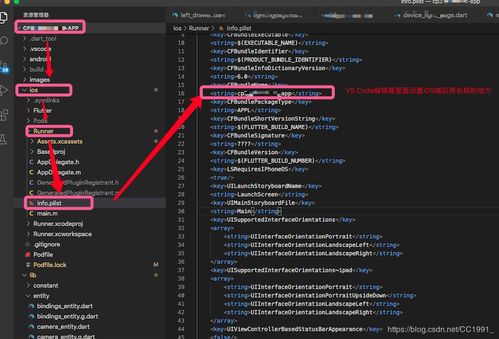 Flutter開發中設置iOS應用名稱與圖標 從配置到發布的完整指南
