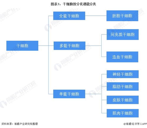 預見2022 中國干細胞醫療產業全景圖譜——產業鏈、競爭格局與前景展望
